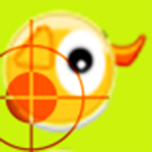 Duck Hunt