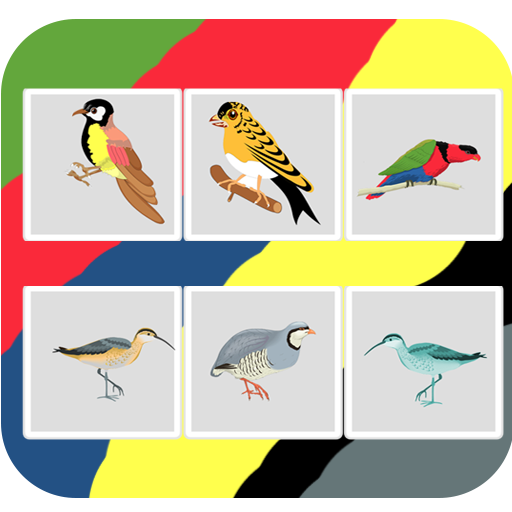 Bird Guess