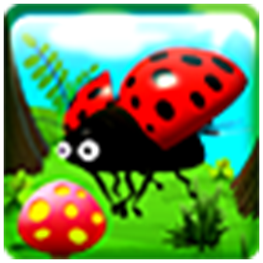 Beetle Nut